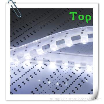 New Outdoor Colorfull LED lighted for weddings or christmas
